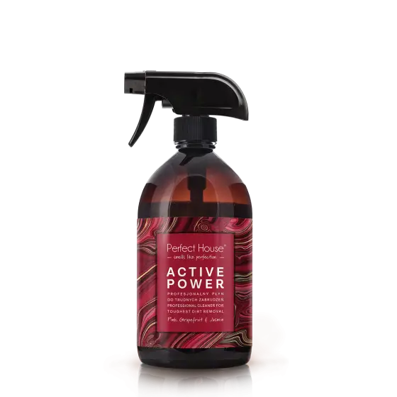 Perfect House Active Power profesjonalny płyn do trudnych zabrudzeń 480ml